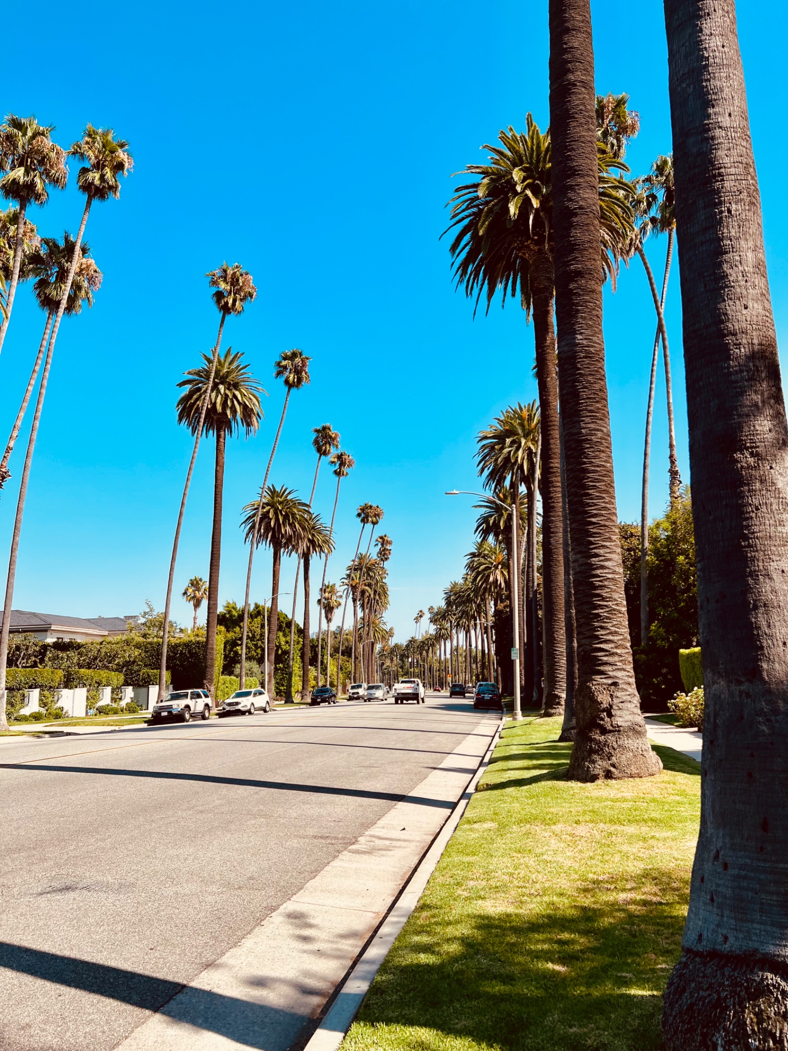 Barrio Hollywood