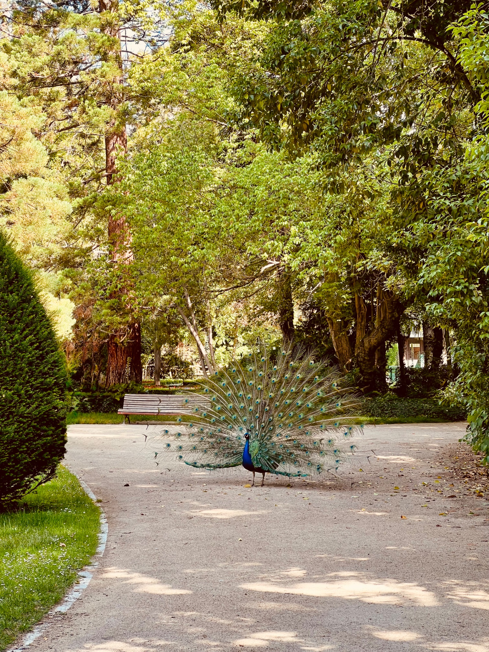 Valladolid — foto