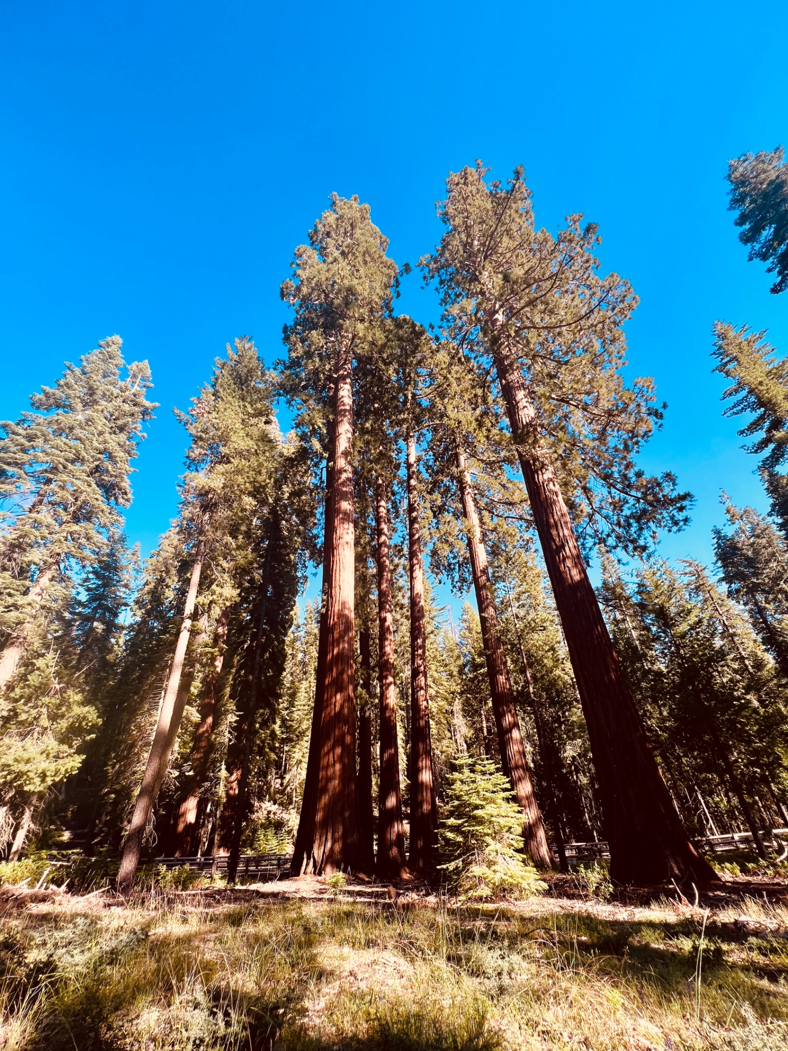 Yosemite
