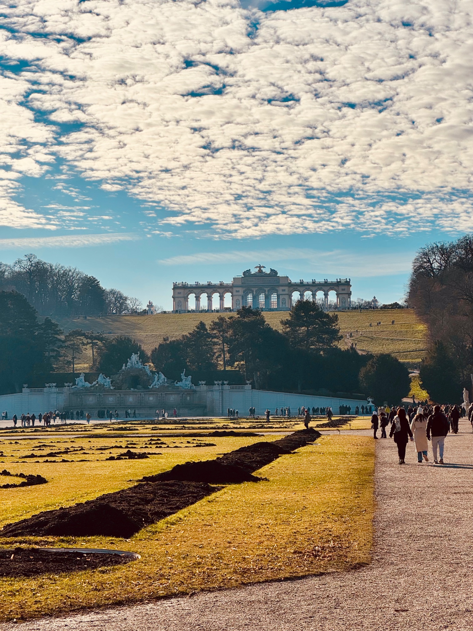 Viena — foto