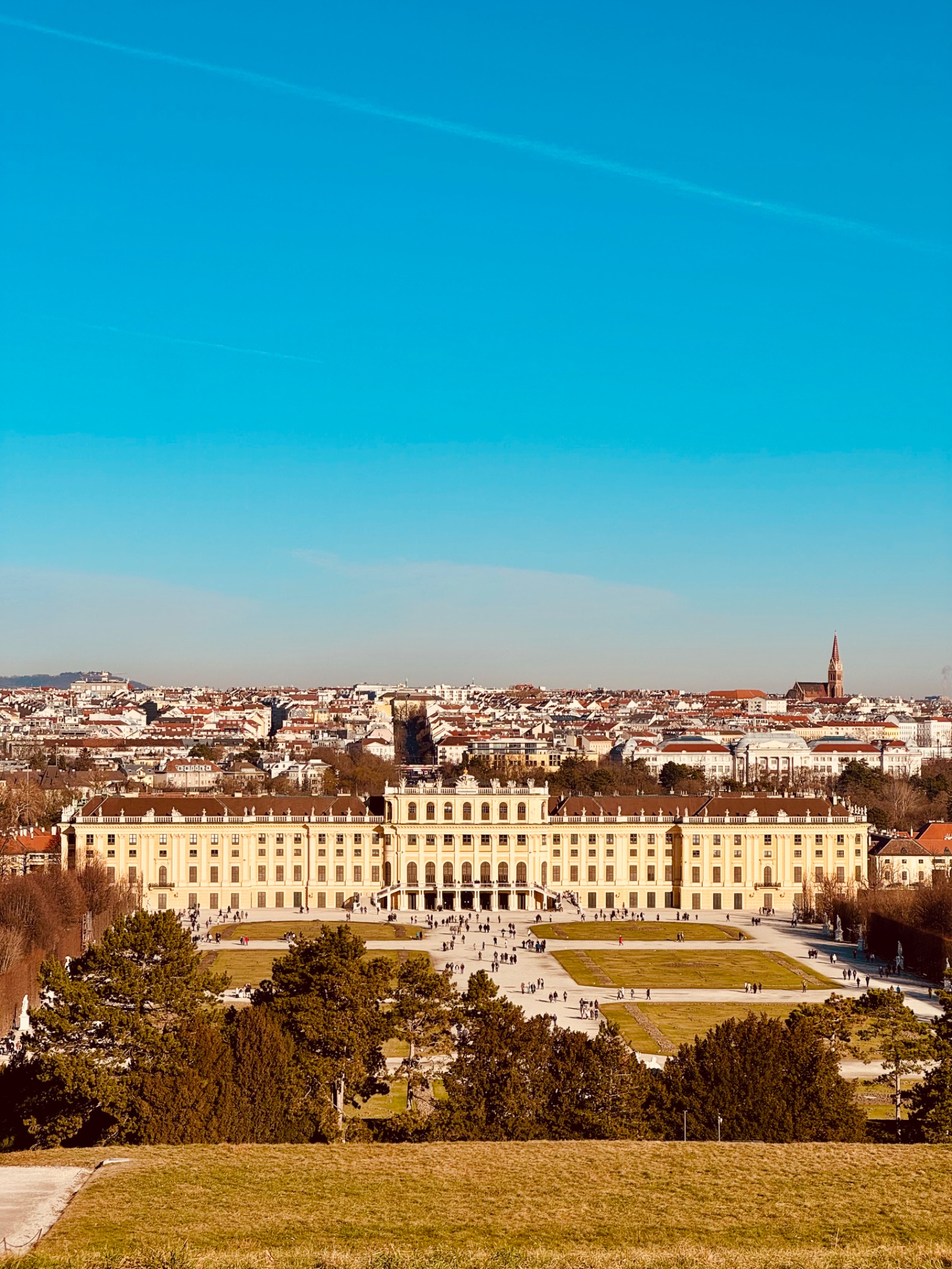 Viena — foto