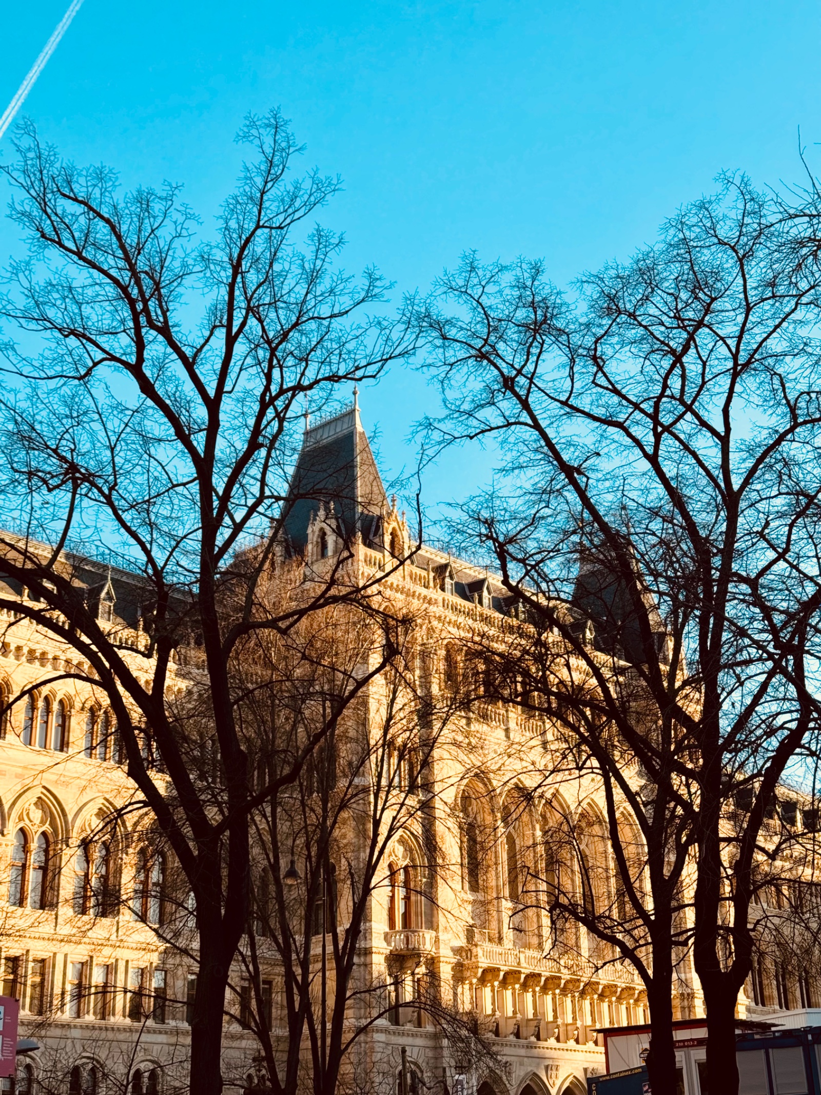 Viena — foto