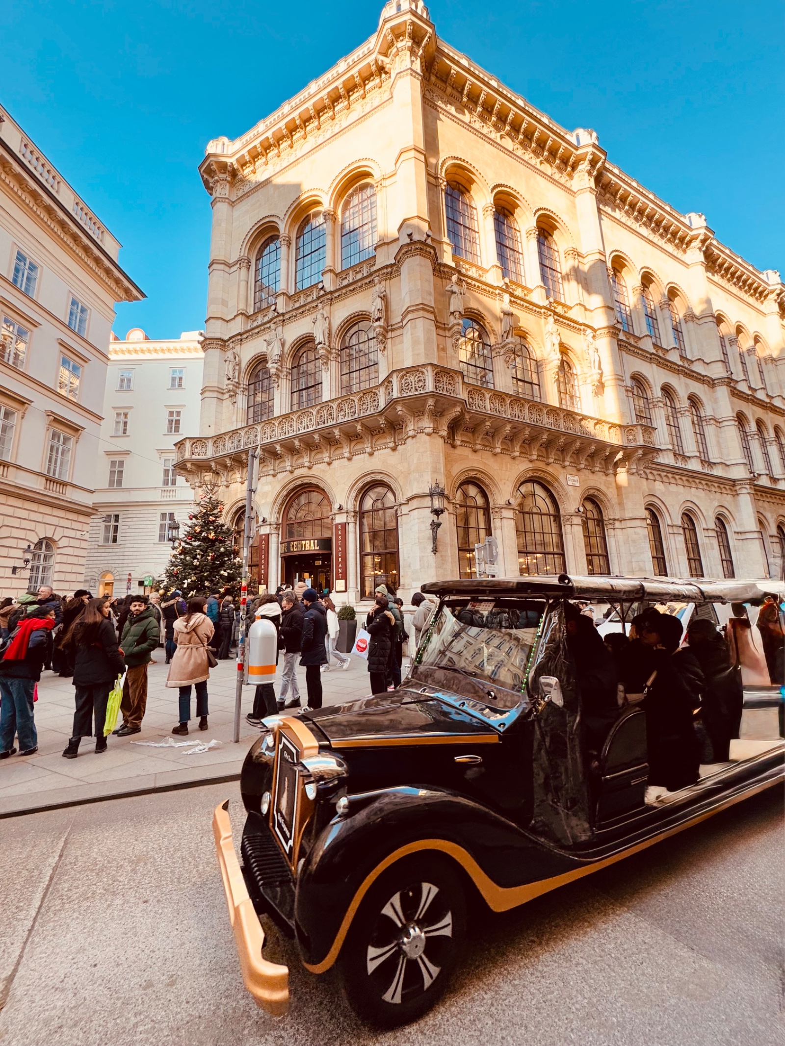 Viena — foto