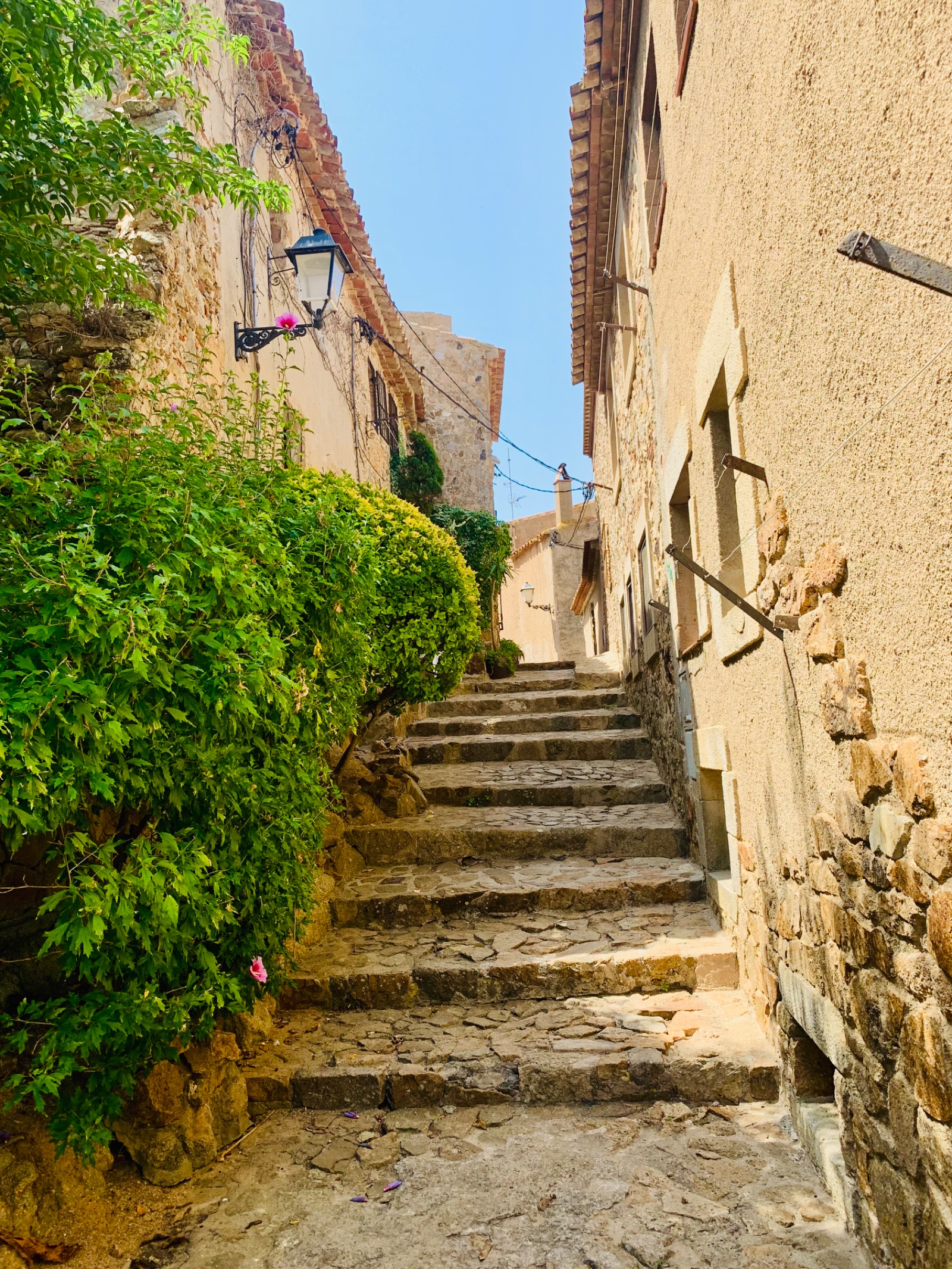 Costa Brava — foto