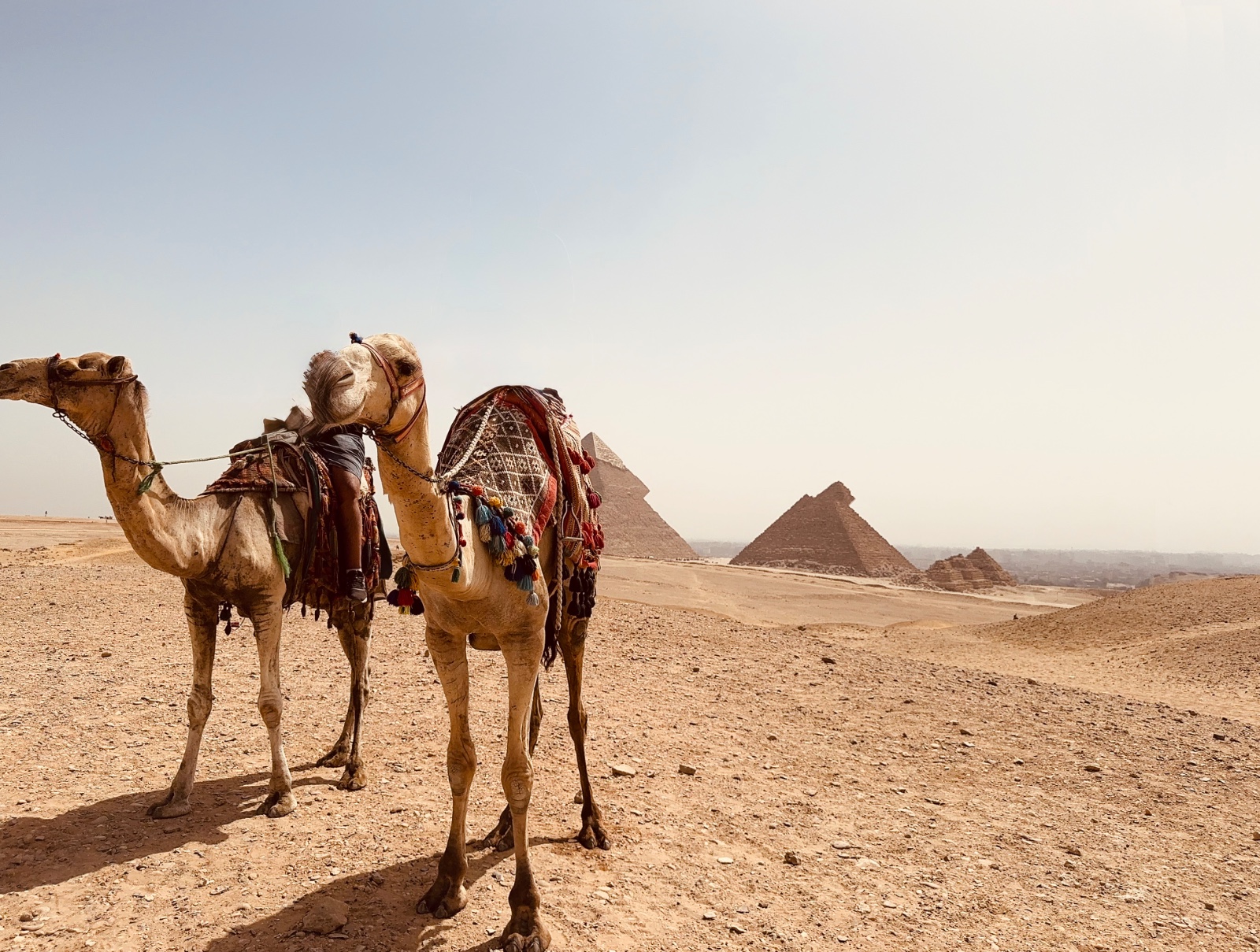 Egipto, Egipto