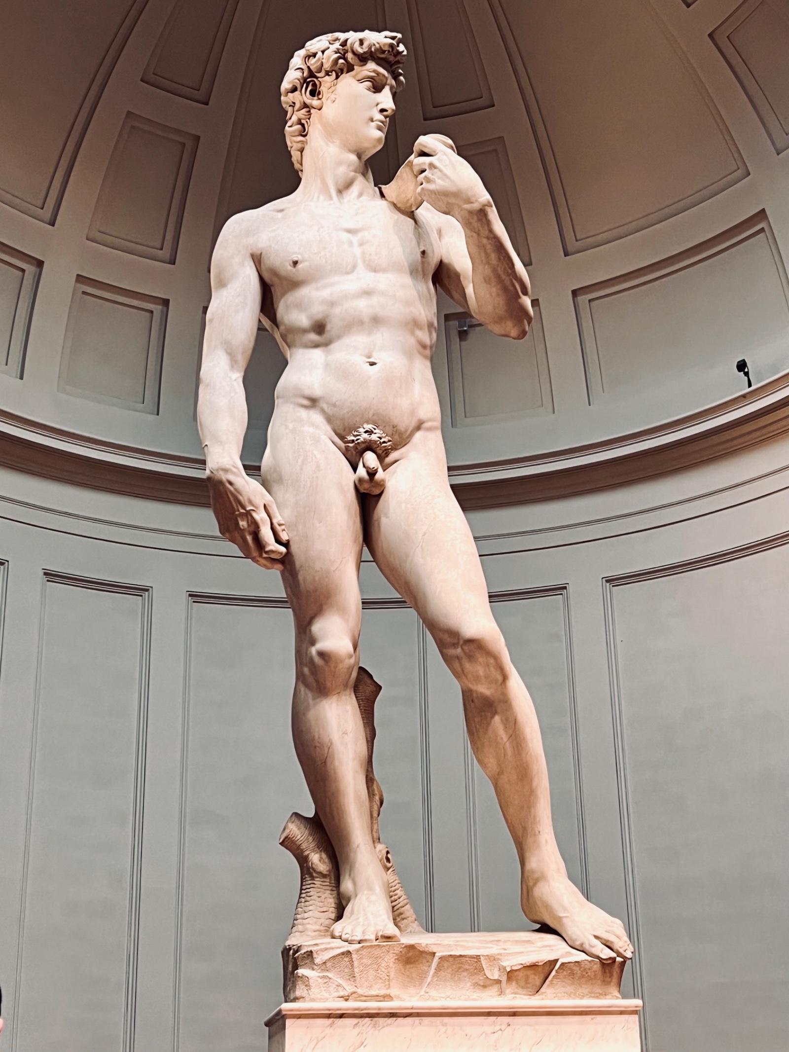 David